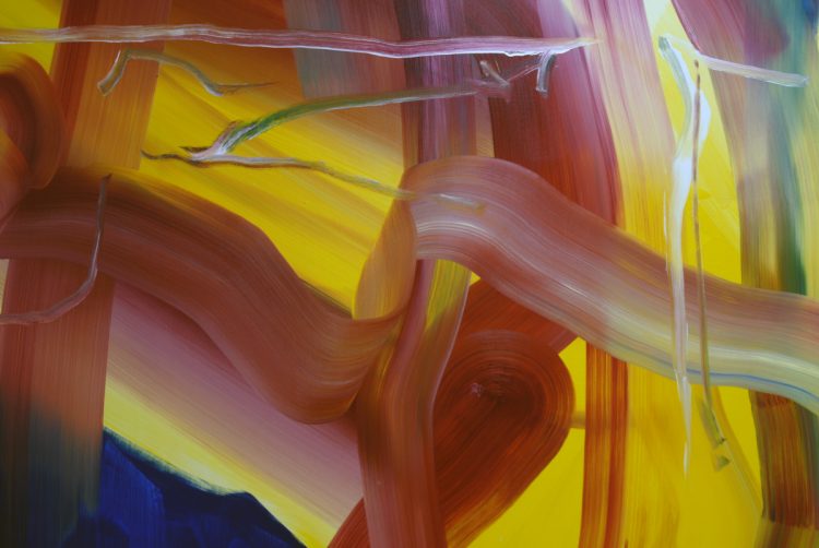 cage detail