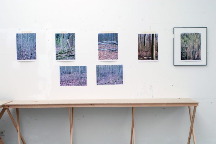 atelier hahnwald
